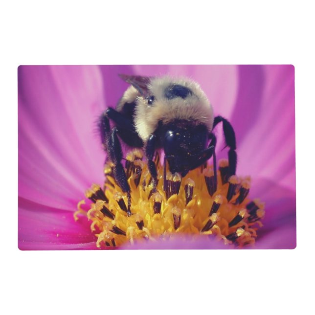 Bumble Bee On Cosmos Flower   Placemat (Front)