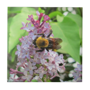 Bumble Bee on Lilac Ceramic Tile