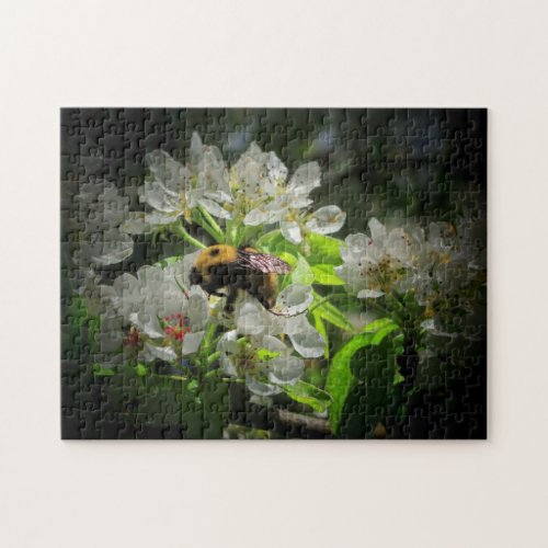 Bumble Bee on Pear Tree Flower Jigsaw Puzzle