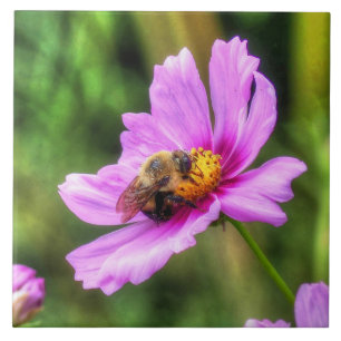 Bumble Bee on Pink Cosmos Ceramic Tile