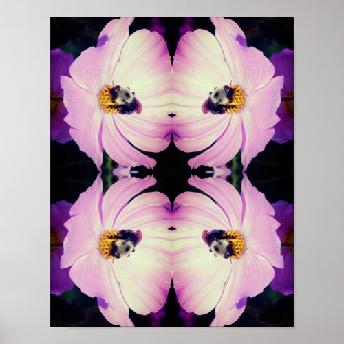 Bumble Bee On Pink Cosmos Flower Abstract  Poster