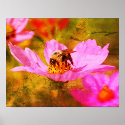 Bumble Bee On Pink Cosmos Flower Abstract Poster