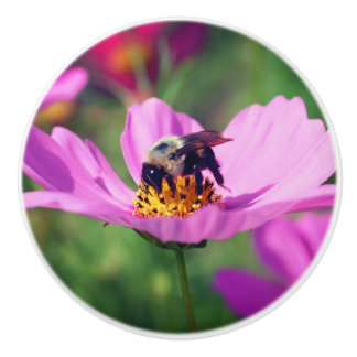 Bumble Bee On Pink Cosmos Flower Ceramic Knob