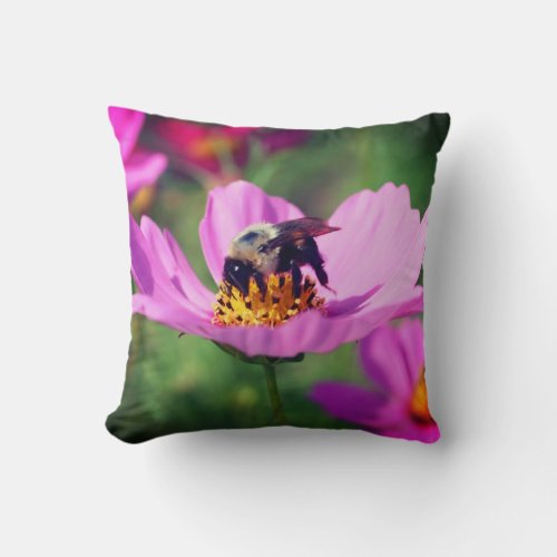 Bumble Bee On Pink Cosmos Flower Close Up  Throw Pillow