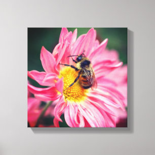 Bumble Bee On Pink Daisy Flower 2 Canvas Print