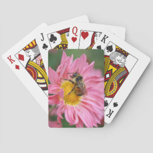 Bumble Bee On Pink Daisy Flower #2 Nature Poker Cards