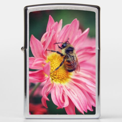 Bumble Bee On Pink Daisy Flower 2   Zippo Lighter