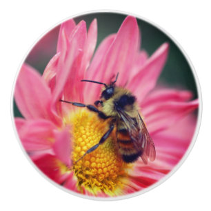 Bumble Bee On Pink Daisy Flower Close Up Ceramic Knob