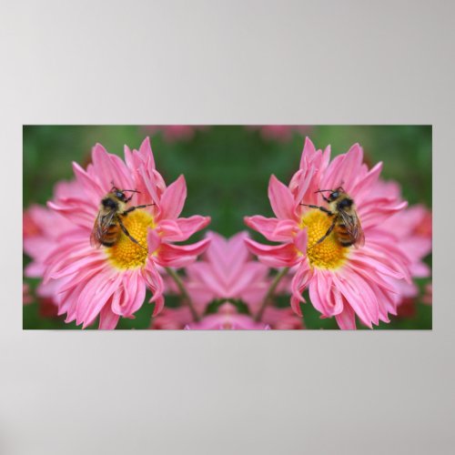 Bumble Bee On Pink Daisy Flower Mirror Abstract Poster