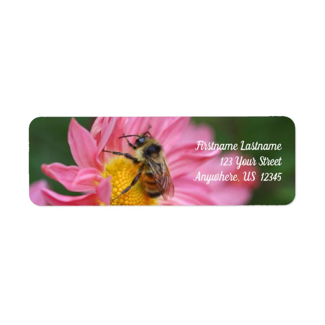 Bumble Bee On Pink Daisy Flower Nature Address Label (Front)