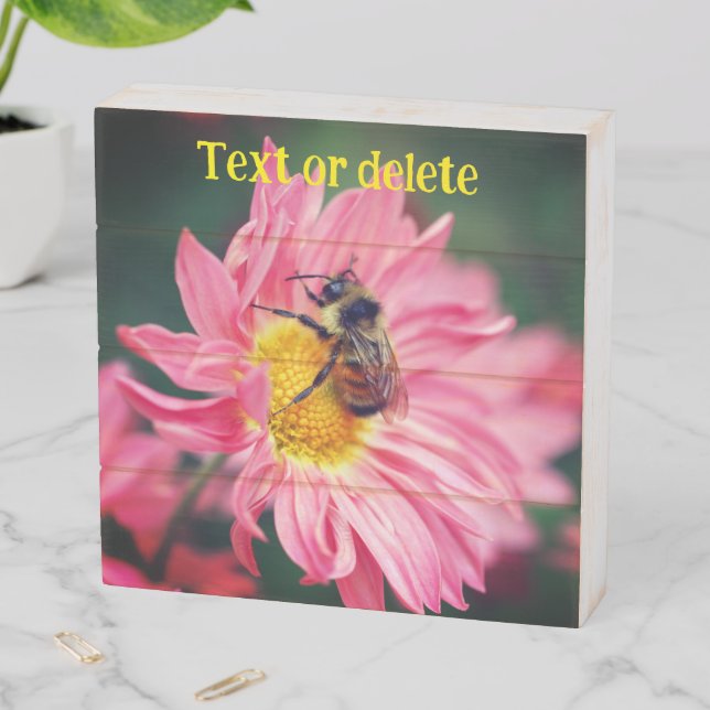 Bumble Bee On Pink Daisy Flower Personalized Wooden Box Sign (In Situ Horizontal)