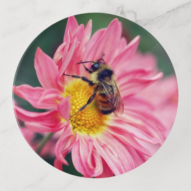 Bumble Bee On Pink Daisy Flower  Trinket Tray (Front)