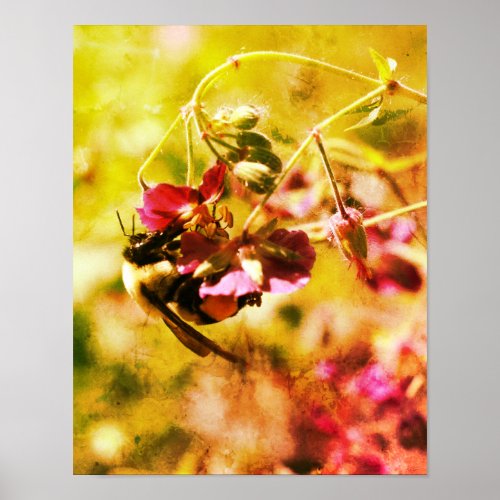 Bumble Bee On Pink Flower Abstract Grunge Poster