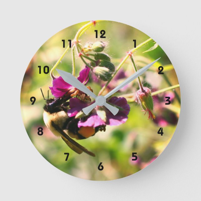Bumble Bee On Pink Flower Close Up  Round Clock (Front)