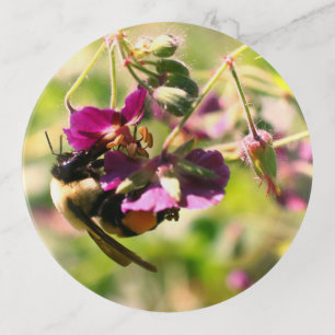 Bumble Bee On Pink Flower Close Up Trinket Tray