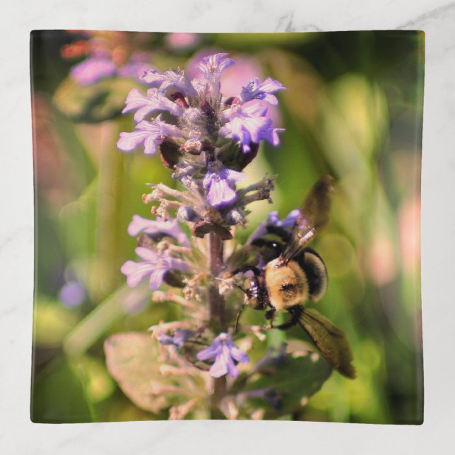 Bumble Bee On Purple Flower Close Up  Trinket Tray (Front)