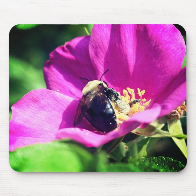 Bumble Bee On Rose Flower  Mouse Pad (Front)