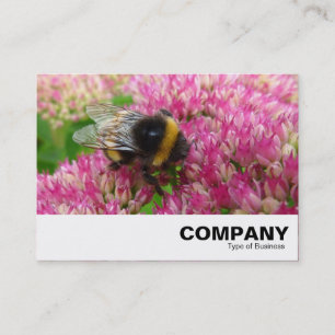 Bumble Bee on Sedum Business Card