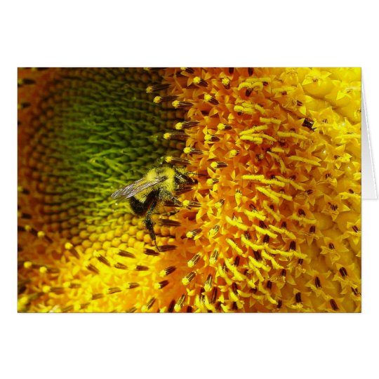 Bumble Bee on Sunflower Card