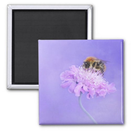Bumble Bee Perched on a Pink Flower Magnet