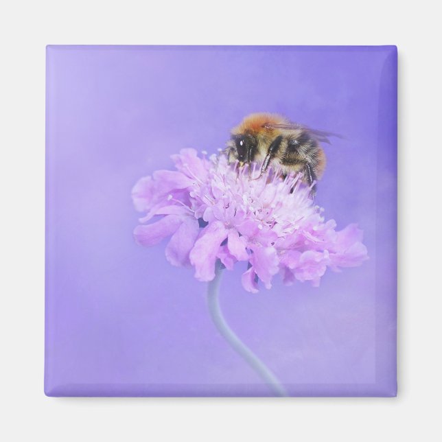 Bumble Bee Perched on a Pink Flower Magnet (Front)