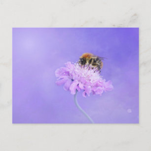 Bumble Bee Perched on a Purple Flower Postcard