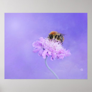 Bumble Bee Perched on a Purple Flower Poster