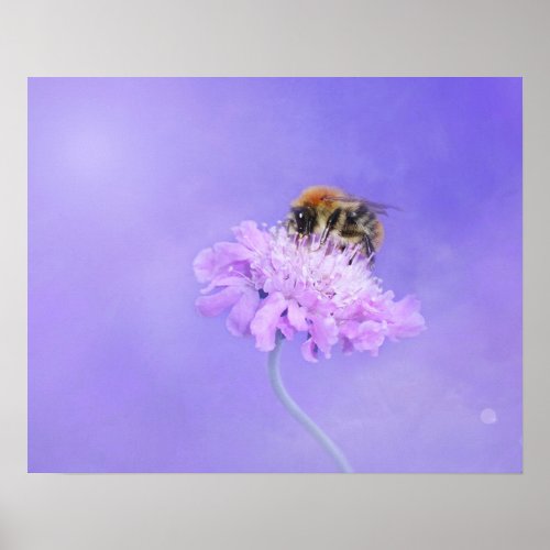 Bumble Bee Perched on a Purple Flower Poster