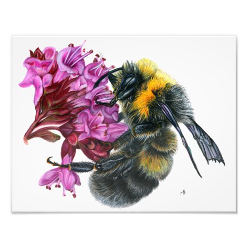 Bumble Bee Photo Print