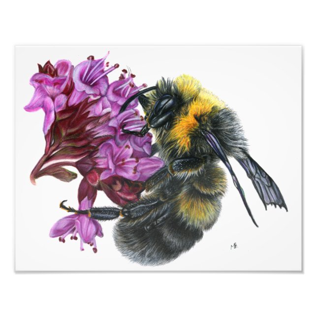 Bumble Bee Photo Print (Front)