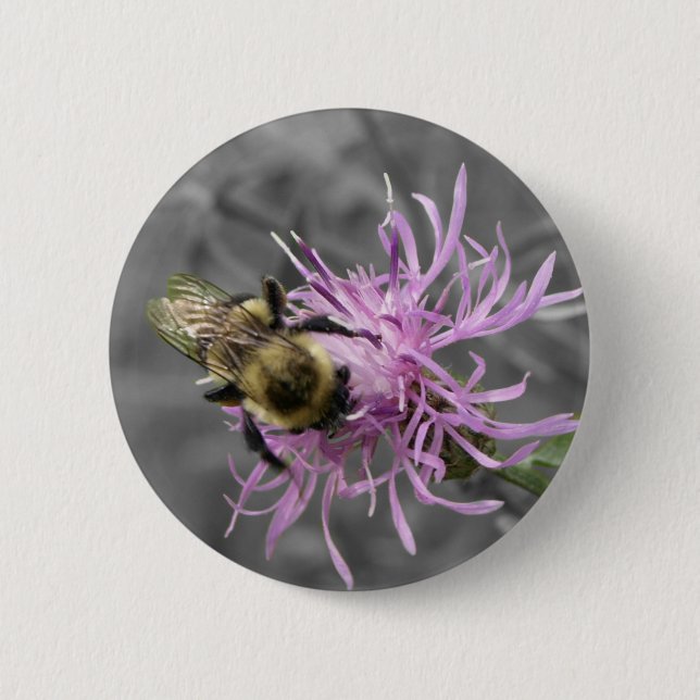 Bumble Bee Pinback Button (Front)