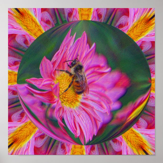 Bumble Bee Pink Daisy Abstract Nature Art Poster (Front)