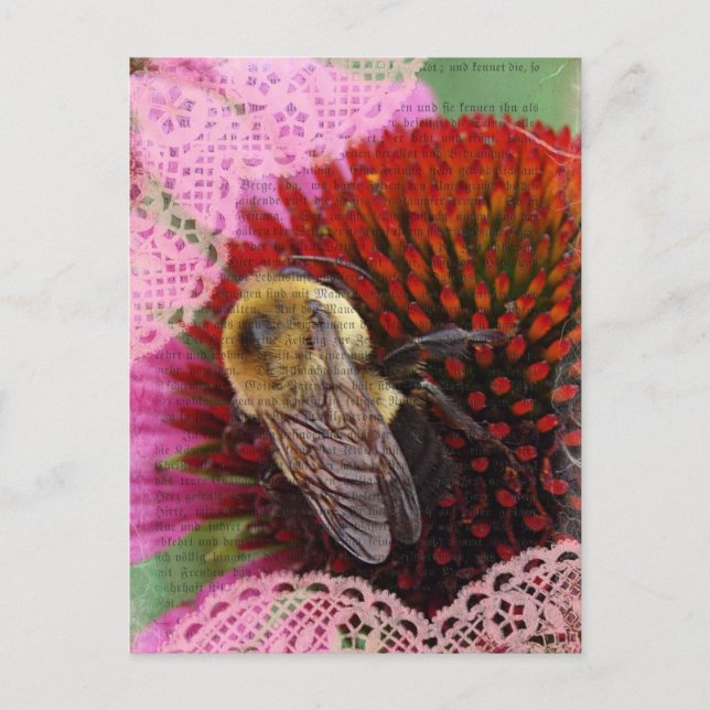 Bumble Bee Postcard (Front)