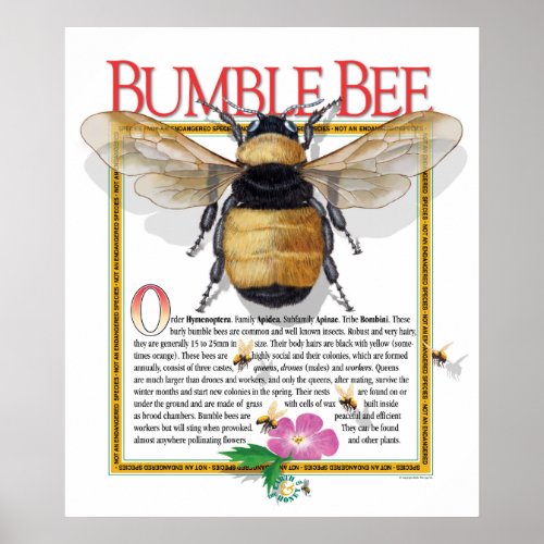 Bumble Bee Poster