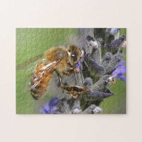Bumble Bee Puzzle Design