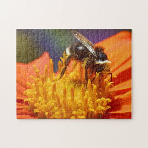Bumble Bee Puzzle Design