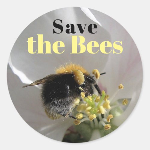 Bumble Bee Save the Bees Classic Round Sticker
