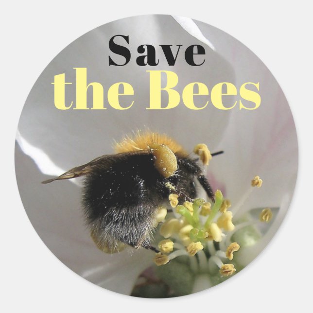 Bumble Bee Save the Bees Classic Round Sticker (Front)