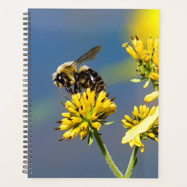 Bumble Bee Spiral Weekly/Monthly Planner (Front)