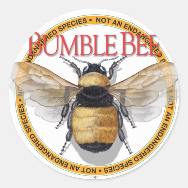 Bumble Bee Sticker (Front)