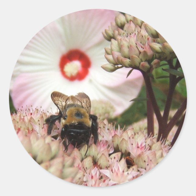 Bumble Bee ~ sticker (Front)