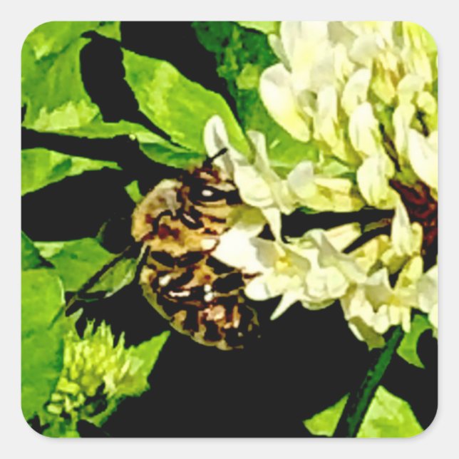 Bumble Bee Stickers (Front)
