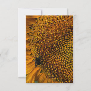 Bumble Bee & Sunflower Note Card