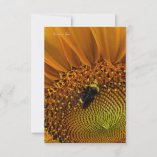 Bumble Bee & Sunflower Note Card