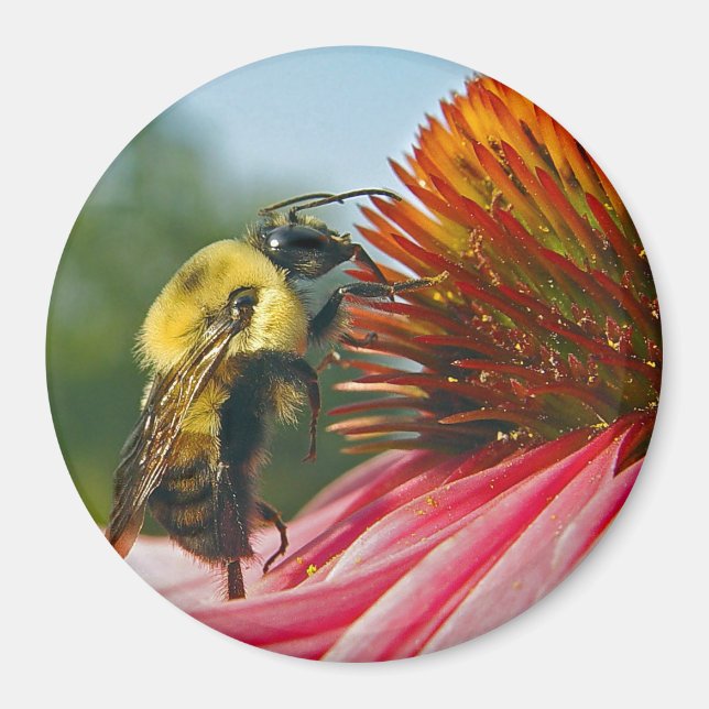 Bumble Bee With Sky Heart Magnet (Front)