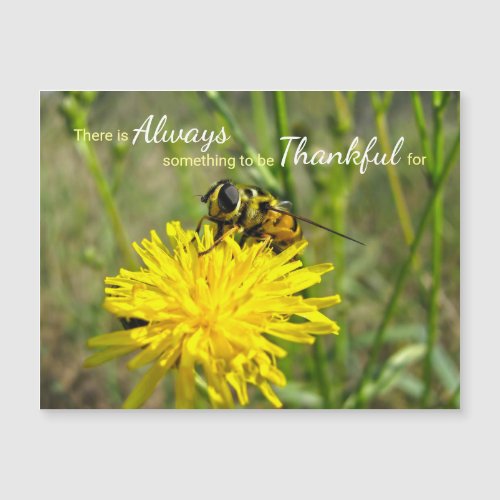 Bumble Bee Yellow Dandelion Always Thankful Magnet