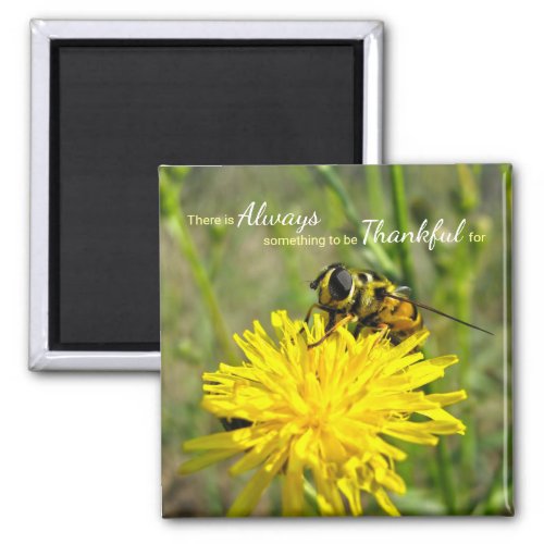 Bumble Bee Yellow Dandelion Always Thankful Magnet