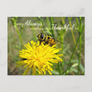 Bumble Bee Yellow Dandelion Always Thankful Postcard