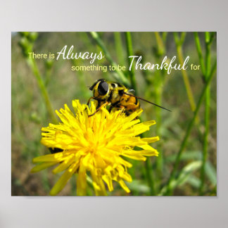 Bumble Bee Yellow Dandelion Always Thankful Poster