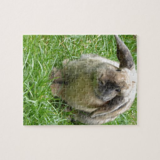 Bumble Rabbit Jigsaw Puzzle | Zazzle